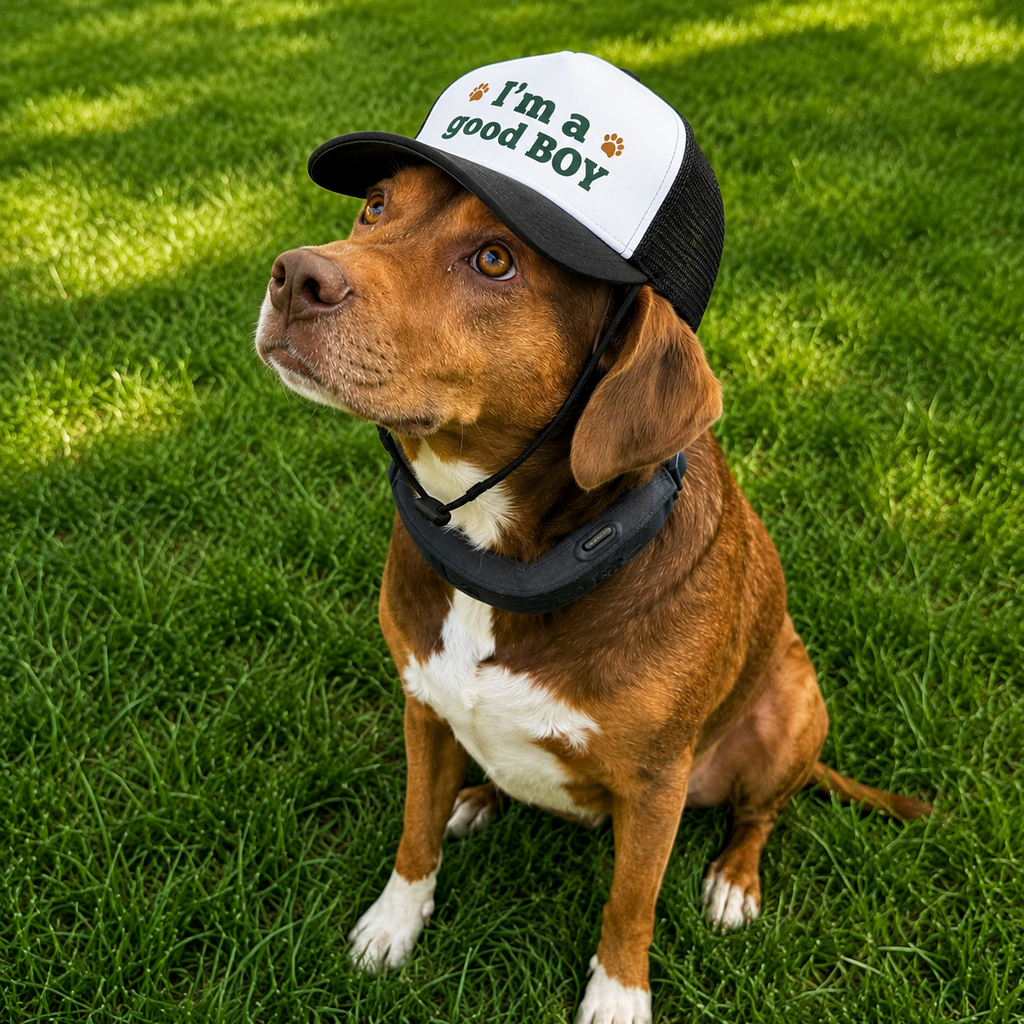 I'm a Good Boy Trucker Hat - Dog Lover Foam Cap