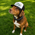I'm a Good Boy Trucker Hat - Dog Lover Foam Cap