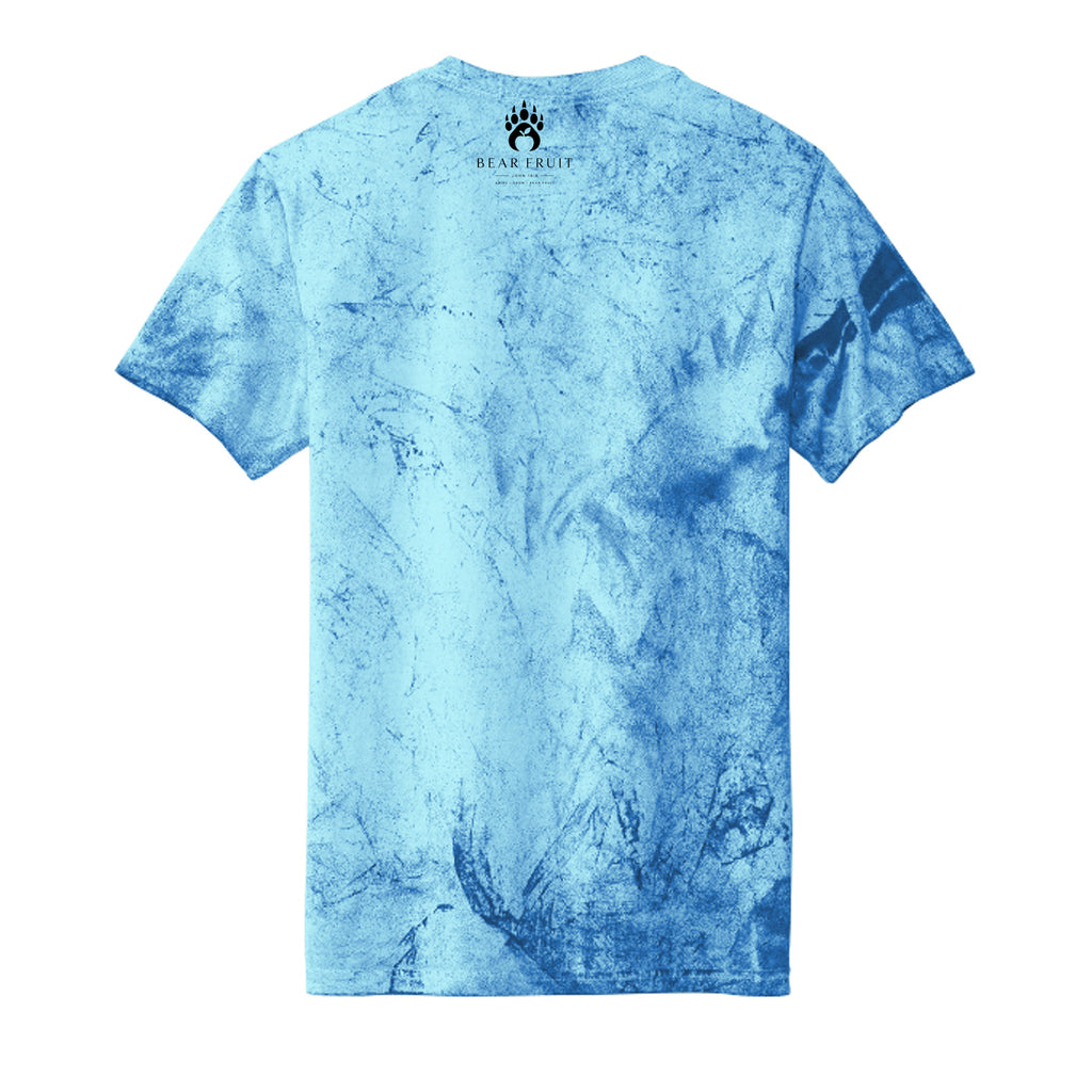 Fiji Blue - 1745 - BACK